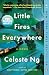 Little Fires Everywhere: A Novel