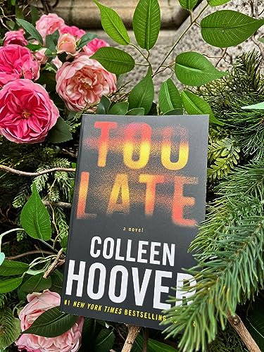 Too Late: Definitive Edition