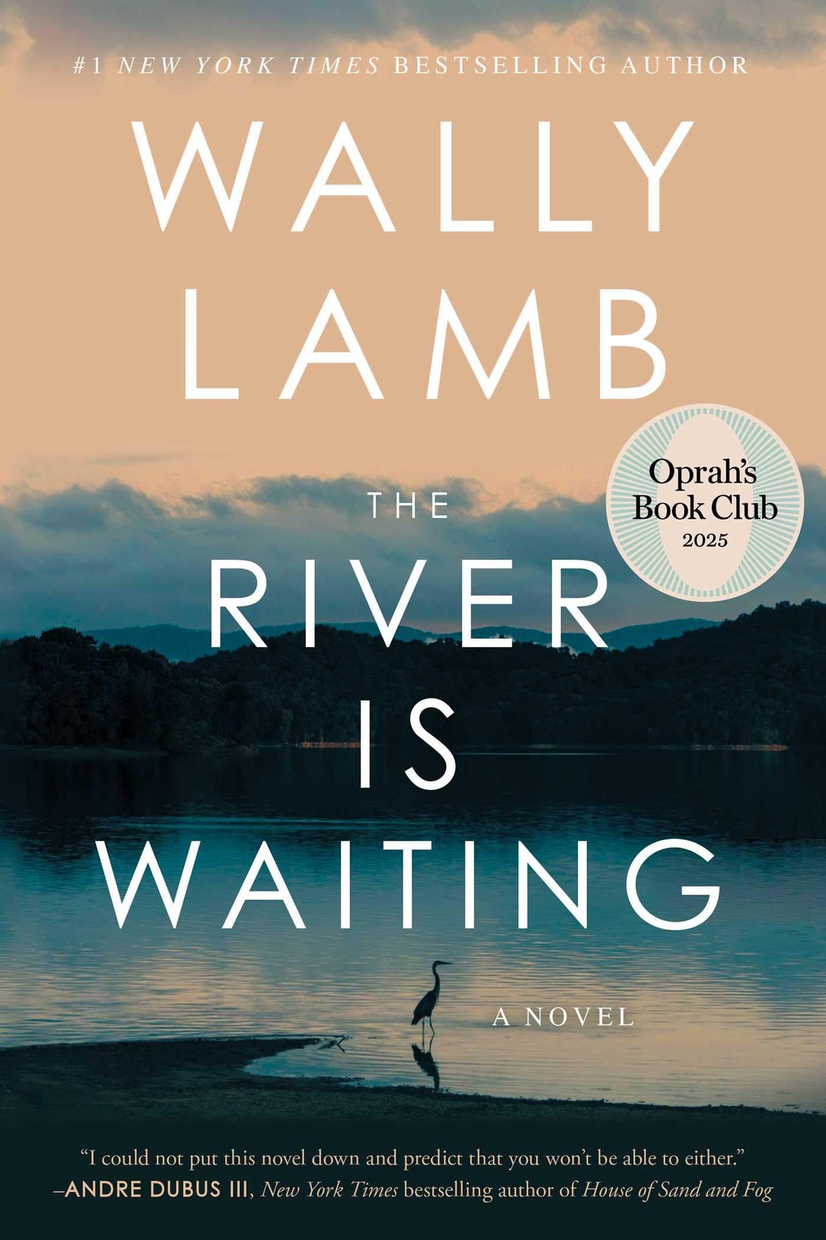 The River Is Waiting (Oprah's Book Club): A Novel