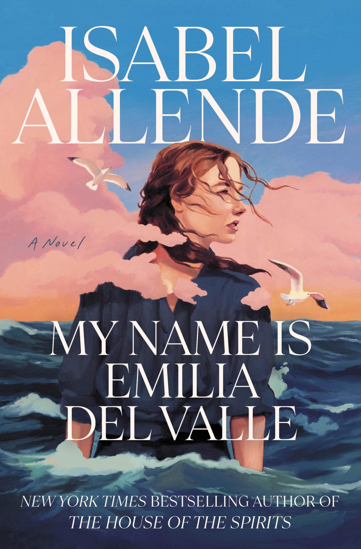 My Name Is Emilia del Valle: A Novel
