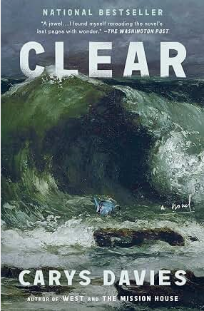 Clear: A Novel