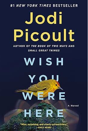 Wish You Were Here: A Novel