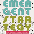 Emergent Strategy: Shaping Change, Changing Worlds (Emergent Strategy Series)