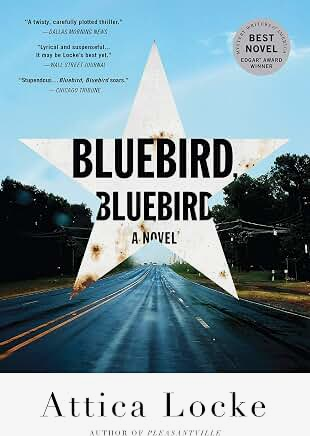 Bluebird, Bluebird (A Highway 59 Novel, 1)