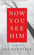 Now You See Him: A Dark Psychological Thriller About a Celebrity Writer's Shocking Murder-Suicide and Twisted Secrets (P.S)