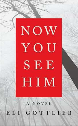 Now You See Him: A Dark Psychological Thriller About a Celebrity Writer's Shocking Murder-Suicide and Twisted Secrets (P.S)