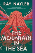 Mountain in the Sea