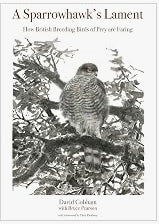 A Sparrowhawk's Lament: How British Breeding Birds of Prey Are Faring (WILDGuides)