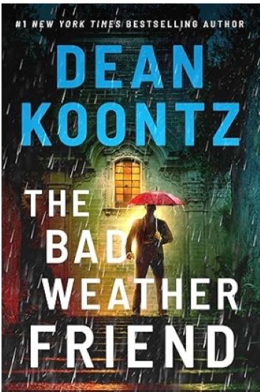 The Bad Weather Friend