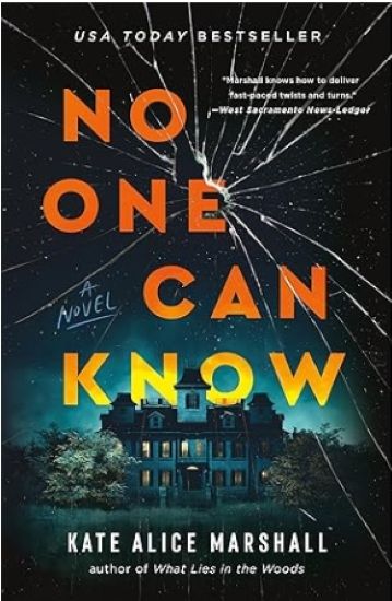 No One Can Know: A Novel