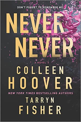Never Never: A Romantic Suspense Novel of Love and Fate cover